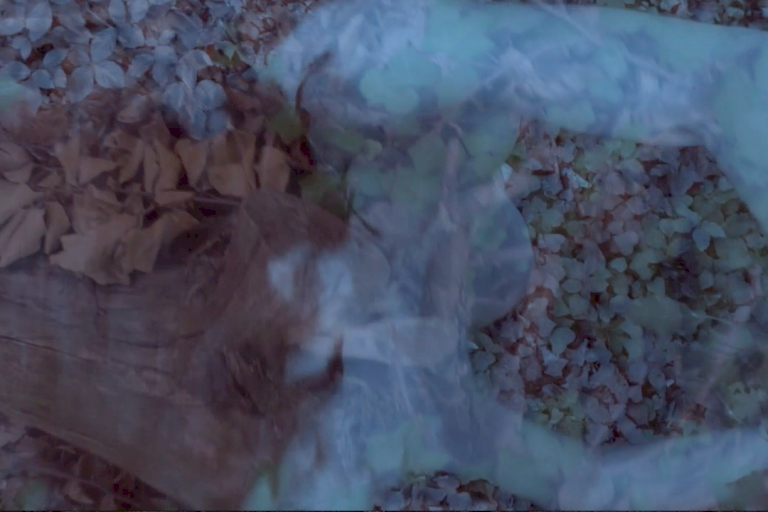 Re-flig – Berlin 2018